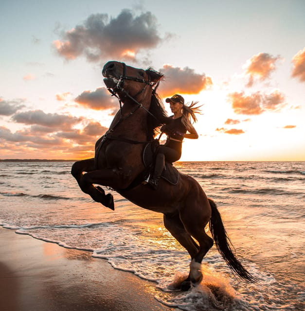 Marsa Alam: Sea and Desert Horse Riding Tour