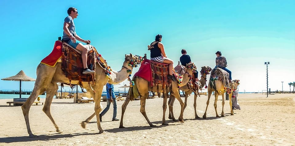 Marsa Alam: Sea and Desert Camel Riding Tour