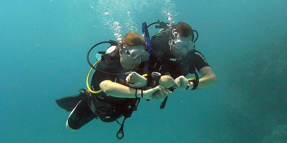 Daily Diving & Dive Packages in Hurghada