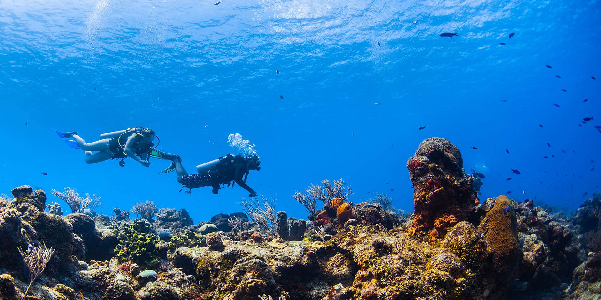 Scuba Diving in Hurghada - Diving Training & Trip - DolphinRedSea