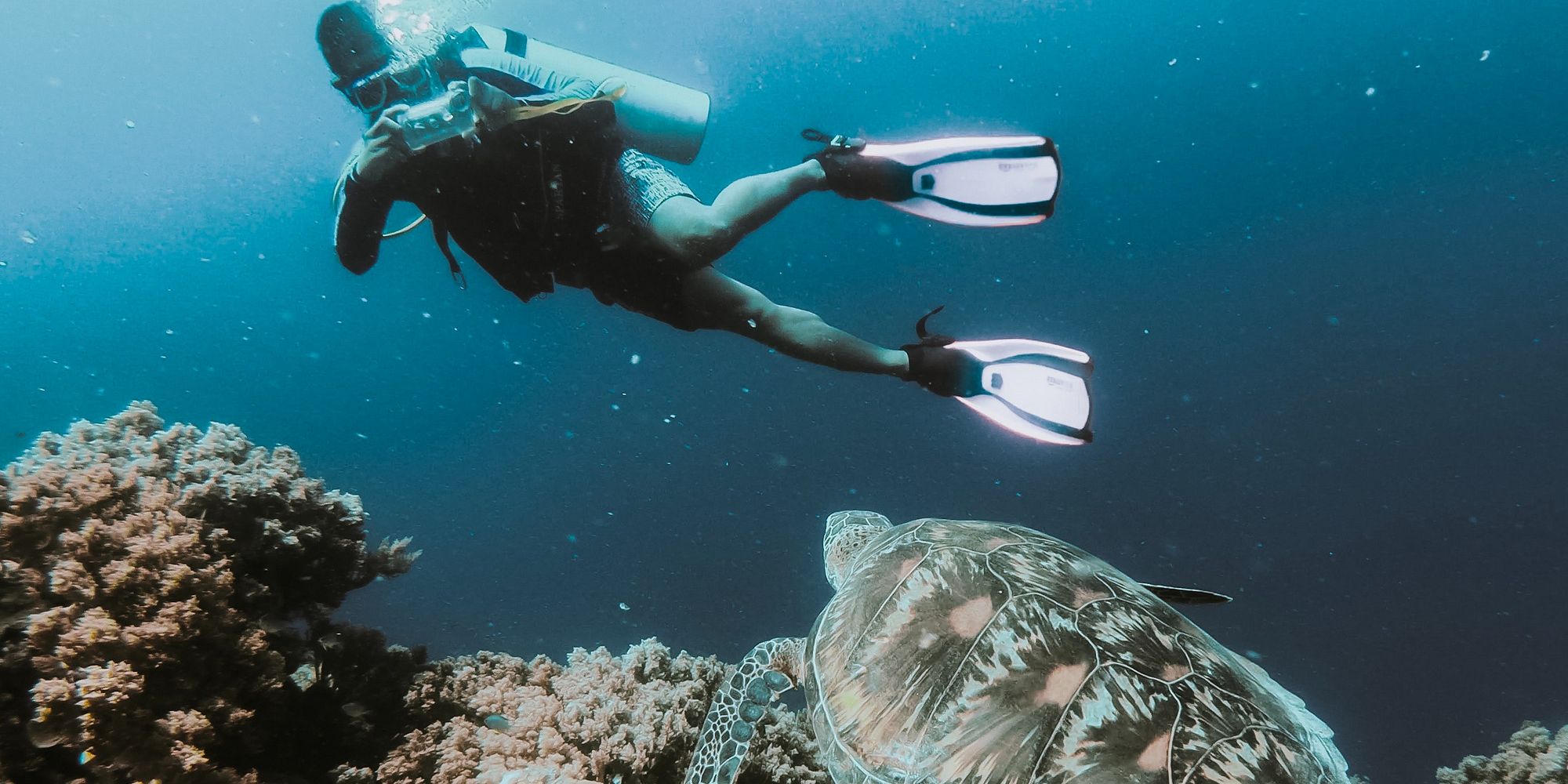 PADI Open Water Diver Course in Hurghada